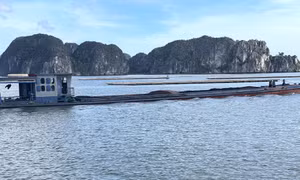 Xử lý nghiêm những vi phạm về tuyến luồng đường thủy