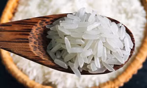 Gạo phát thải thấp: Tấm hộ chiếu xanh của nông nghiệp Việt Nam ra thế giới