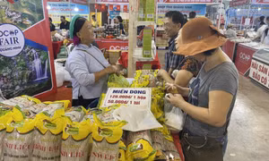 Chuyển mình trong sản xuất nông nghiệp