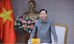 Chủ động có phương án ứng phó hiệu quả bão số 3 sắp đổ bộ