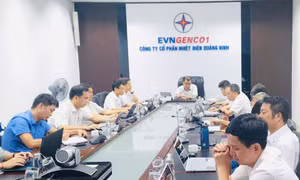 Công ty CP Nhiệt điện Quảng Ninh: Chủ động, tập trung ứng phó cơn bão số 3
