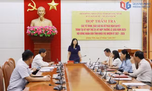 Ban Kinh tế - Ngân sách HĐND tỉnh thẩm tra các tờ trình, báo cáo