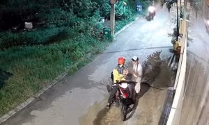 Bắt giữ nam thanh niên giật hơn 100 tờ vé số của người khuyết tật ở TPHCM