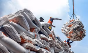 Giá gạo tại Nhật Bản tăng, cơ hội cho hàng Việt