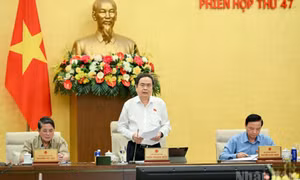 Ủy ban Thường vụ Quốc hội cho ý kiến bước đầu về việc chuẩn bị Kỳ họp thứ 10
