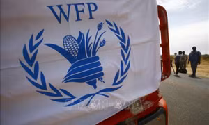 WFP cảnh báo nguy cơ cắt giảm viện trợ lương thực