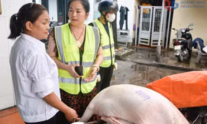 Nỗ lực để sản phẩm an toàn đến tay người tiêu dùng