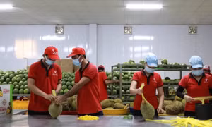 Xuất khẩu nông sản hướng tới mục tiêu 70 tỷ USD