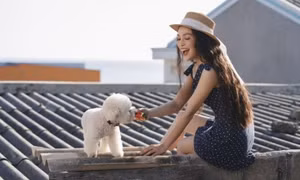 Hiền Thục sẽ 'sống được 200 năm nữa' nếu vẫn có hit Nhật ký của mẹ
