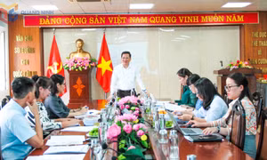 Thẩm định các kịch bản phim hoạt hình