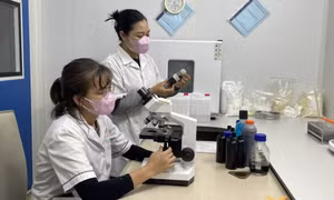 Chính sách thu hút, hỗ trợ nhân lực về KHCN