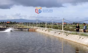 Xây dựng Hà An thành phường văn minh, hiện đại