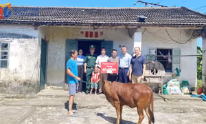 Giảm nghèo bền vững, bao trùm
