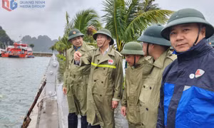 Thứ trưởng Bộ Nông nghiệp và Môi trường kiểm tra công tác phòng, chống bão số 3