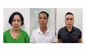 Tạm giữ chủ phòng khám móc nối với cò mồi ở cổng Bệnh viện Phụ sản Trung ương, Viện K