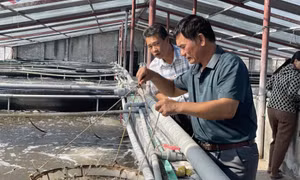 Nông dân vươn lên làm giàu