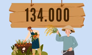 134.000 - là số lao động trên cả nước được hỗ trợ tạo việc làm, tạo sinh kế