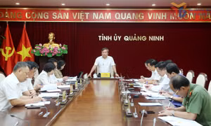 Ban Chỉ đạo Phòng, chống tham nhũng, lãng phí, tiêu cực tỉnh họp phiên thứ 13