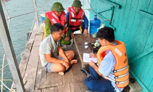 Quảng Ninh: Di dời hơn 7.500 người ở các khu nuôi trồng thủy sản lên bờ an toàn