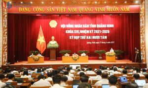 Bàn thảo, ra quyết sách phấn đấu hoàn thành nhiệm vụ tăng trưởng