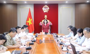 Thường trực Tỉnh ủy duyệt nội dung Đại hội Đảng bộ phường Mông Dương và xã Hải Hòa