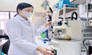 Nghiên cứu hiệu quả điều trị bệnh từ cây vông nem