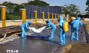 Quy định mới về chức năng, nhiệm vụ Ban Chỉ huy Phòng thủ dân sự cấp xã