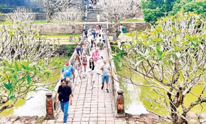 Đưa du lịch trở thành ngành kinh tế truyền cảm hứng