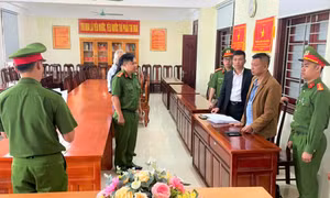 Bắt giam Giám đốc và Phó Giám đốc công ty tơ tằm lừa đảo chiếm đoạt hàng tỉ đồng