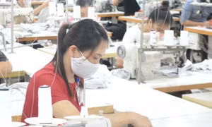 Đề xuất mức lương tối thiểu vùng từ ngày 1/1/2026