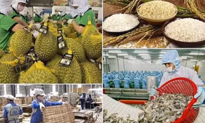 Ban hành kế hoạch đẩy mạnh xuất khẩu nông, lâm, thủy sản năm 2025