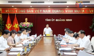 Giao ban Thường trực Tỉnh ủy