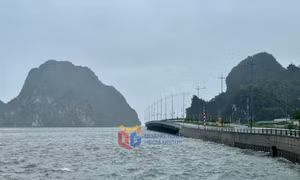 Quảng Ninh: Không chủ quan với hoàn lưu sau bão
