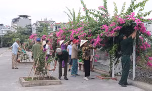 Phường Cao Xanh: Giàu đẹp, nghĩa tình, hạnh phúc 