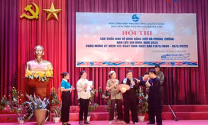 Phòng, chống bạo lực gia đình ở vùng DTTS