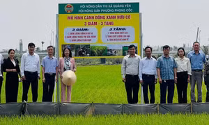 Nông dân tích cực tham gia bảo vệ môi trường