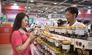 Thúc đẩy liên kết sản xuất, kinh doanh