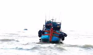 Ba người tử vong dưới hầm tàu cá