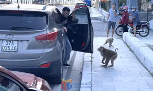 Bản tin Quảng Ninh ngày 12/5/2025