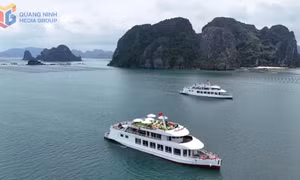 “Đánh thức” du lịch vùng vịnh Bái Tử Long