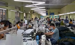 Hạn chế rủi ro trong xuất khẩu dệt may