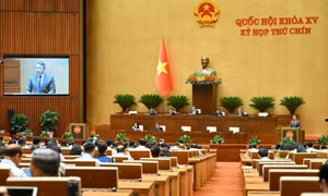 “Nới lỏng” chính sách cho nhập, trở lại quốc tịch Việt Nam