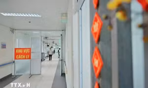 Thành phố Hồ Chí Minh: Hai trường hợp tử vong đồng nhiễm SARS-CoV-2