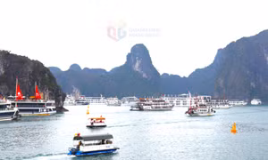 Tạm dừng hợp đồng neo đậu đối với một tàu du lịch do để khách mang theo, sử dụng sản phẩm từ nhựa dùng một lần