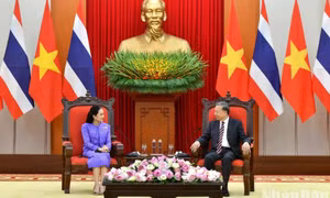 Tổng Bí thư Tô Lâm tiếp Thủ tướng Thái Lan Paetongtarn Shinawatra