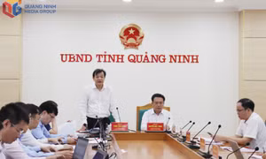 Khảo sát việc thực hiện công tác chuyển đổi số tại ngành Kiểm tra 
