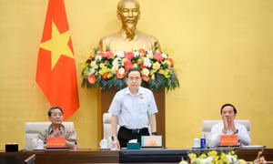 Phát huy trí tuệ và trách nhiệm cao nhất đối với cử tri và đất nước