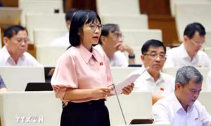 Sữa giả, thuốc giả và trách nhiệm từ quản lý đến đạo đức doanh nghiệp