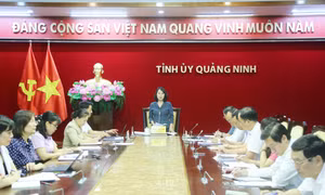 Đảng ủy các cơ quan Đảng tỉnh tổng kết công tác kiểm tra, giám sát và thi hành kỷ luật Đảng
