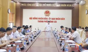 Móng Cái mở đợt cao điểm đấu tranh ngăn chặn tình trạng buôn lậu, gian lận thương mại